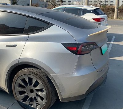 Спойлер Tesla Model Y 2020+ на багажник / ABS-пластик SP000191 фото